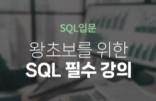 [SQL 입문] 데이터분석 입문 필수! 왕초보를 위한 SQL 