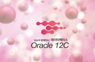 실습과 함께하는! 데이터베이스 Oracle 12c