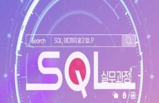 SQL, 어디까지 알고 있니? (실무과정)