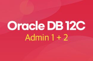 Oracle Database 12c Workshop 1+2