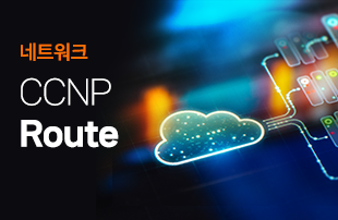 [현장강의]CCNP-Route