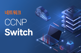 [현장강의]CCNP-Switch